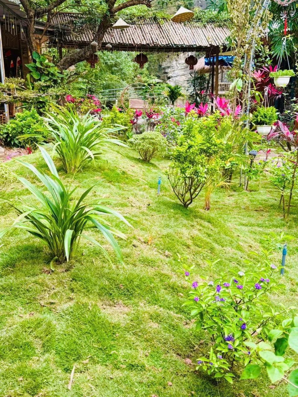 Green Valley Homestay - Thung Lung Xanh Nguyen Ngoai ภายนอก รูปภาพ