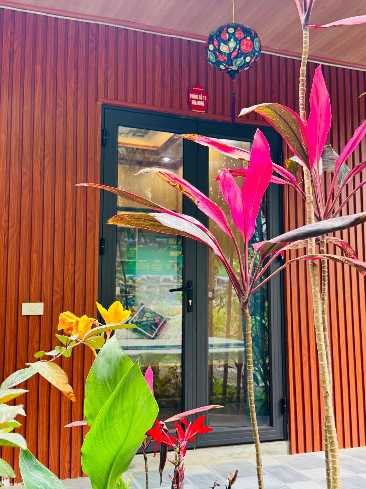 Green Valley Homestay - Thung Lung Xanh Nguyen Ngoai ภายนอก รูปภาพ