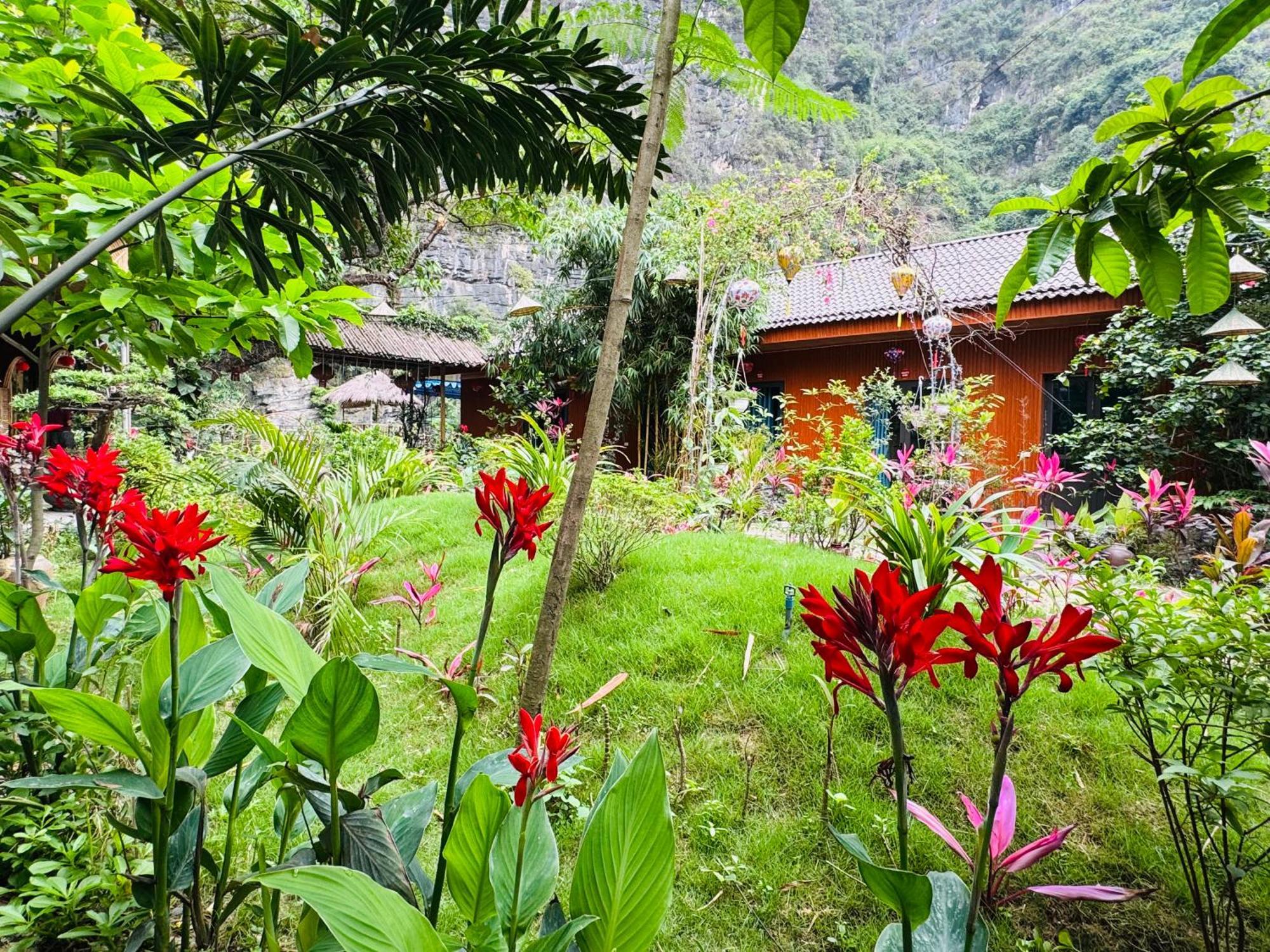 Green Valley Homestay - Thung Lung Xanh Nguyen Ngoai ภายนอก รูปภาพ