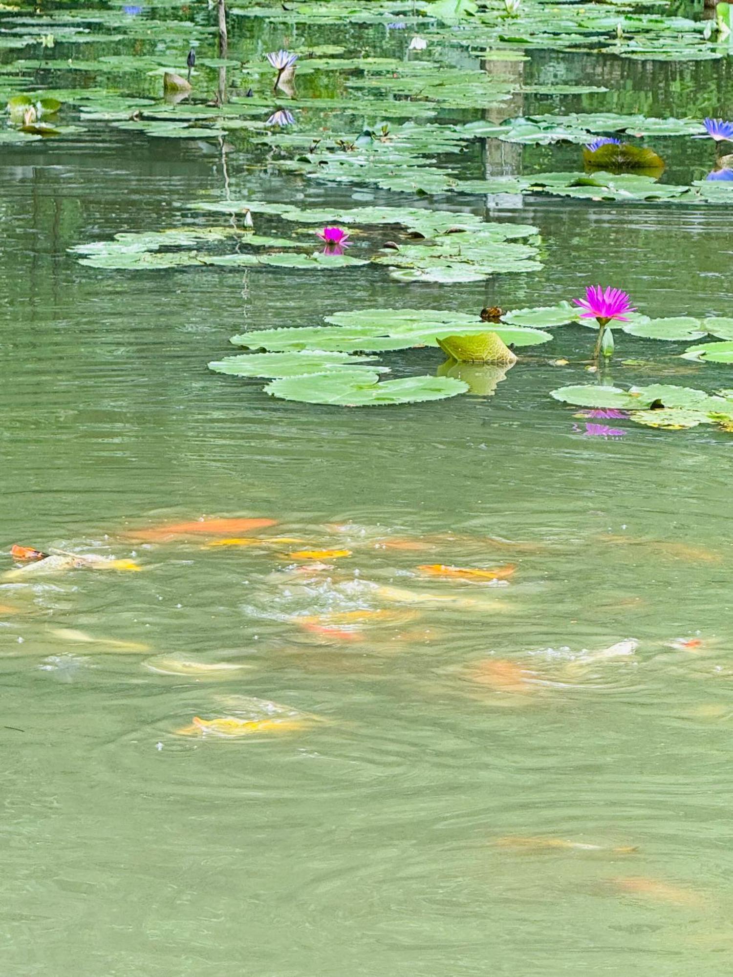 Green Valley Homestay - Thung Lung Xanh Nguyen Ngoai ภายนอก รูปภาพ