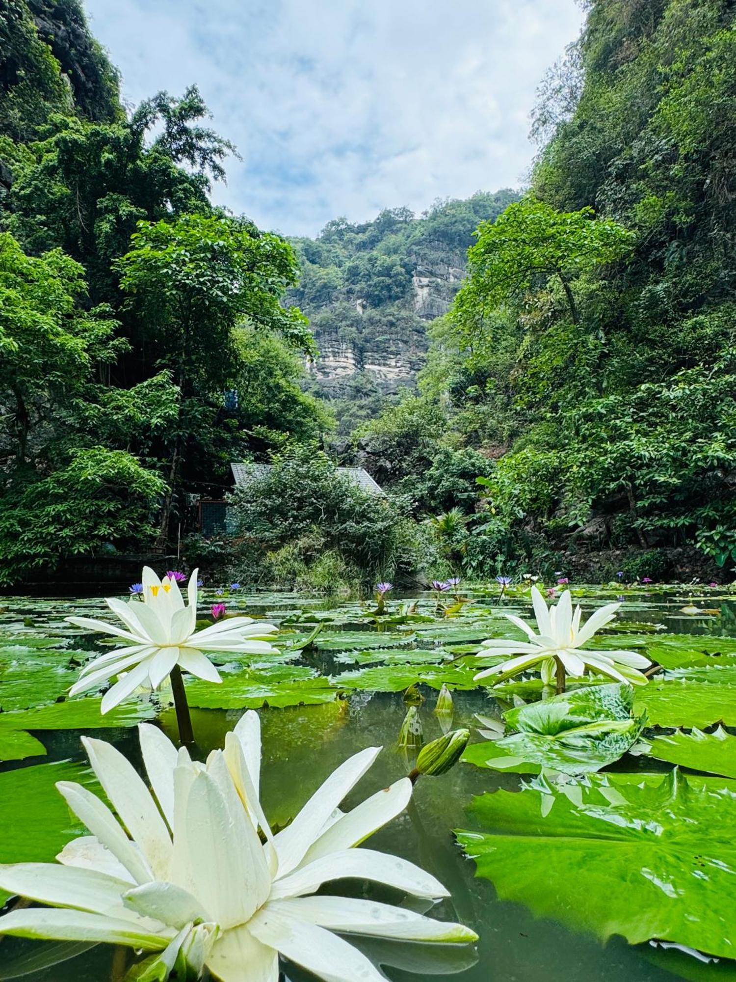Green Valley Homestay - Thung Lung Xanh Nguyen Ngoai ภายนอก รูปภาพ